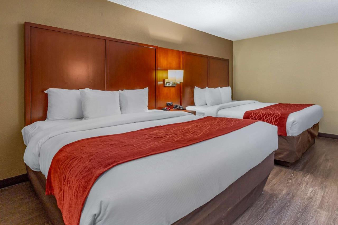 Comfort Inn Fort Mill Amusement Park At Carowinds Blvd Exteriör bild
